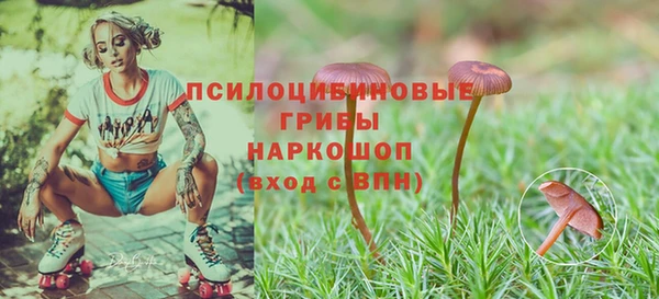 мяу мяу мука Абаза