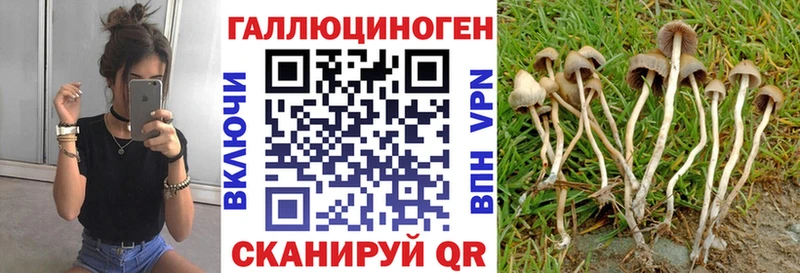 как найти   мега ССЫЛКА  Псилоцибиновые грибы ЛСД  Ялта 
