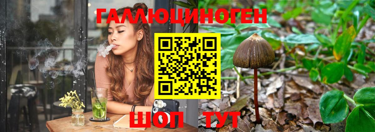 Галлюциногенные грибы Psilocybine cubensis  купить закладку  Ялта  Вход с VPN 